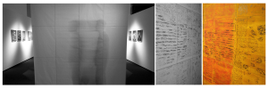 phasmas exposicions viatgeres